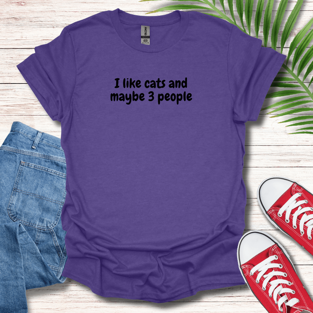 I Like Cats And Maybe 3 People T-Shirt